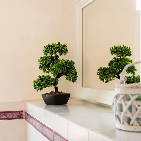 Apartmenthaus Rankestrasse 4 아파트 드레스덴