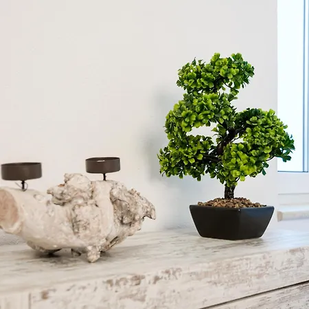 Apartmenthaus Rankestrasse 4 Appartement *