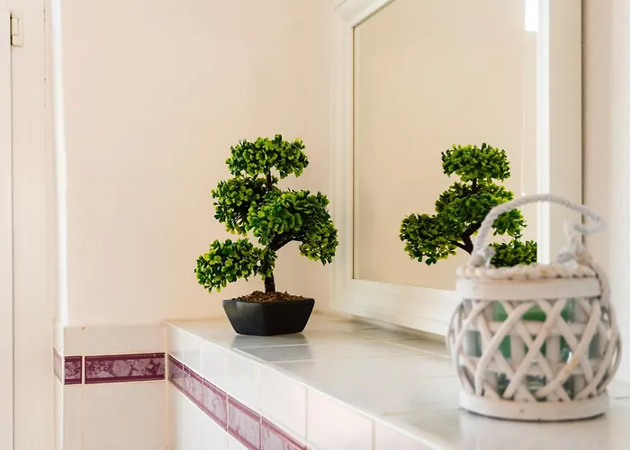 Apartmenthaus Rankestrasse 4 Apartment Dresden